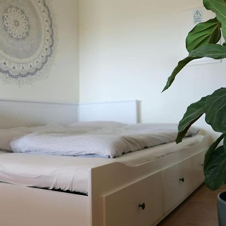 Panorama Apartment Sagres *Pool* Ngoại thất bức ảnh