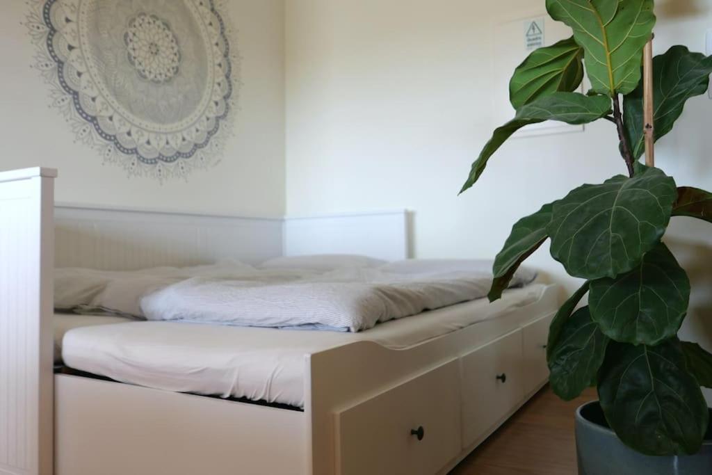 Panorama Apartment Sagres *Pool* Ngoại thất bức ảnh